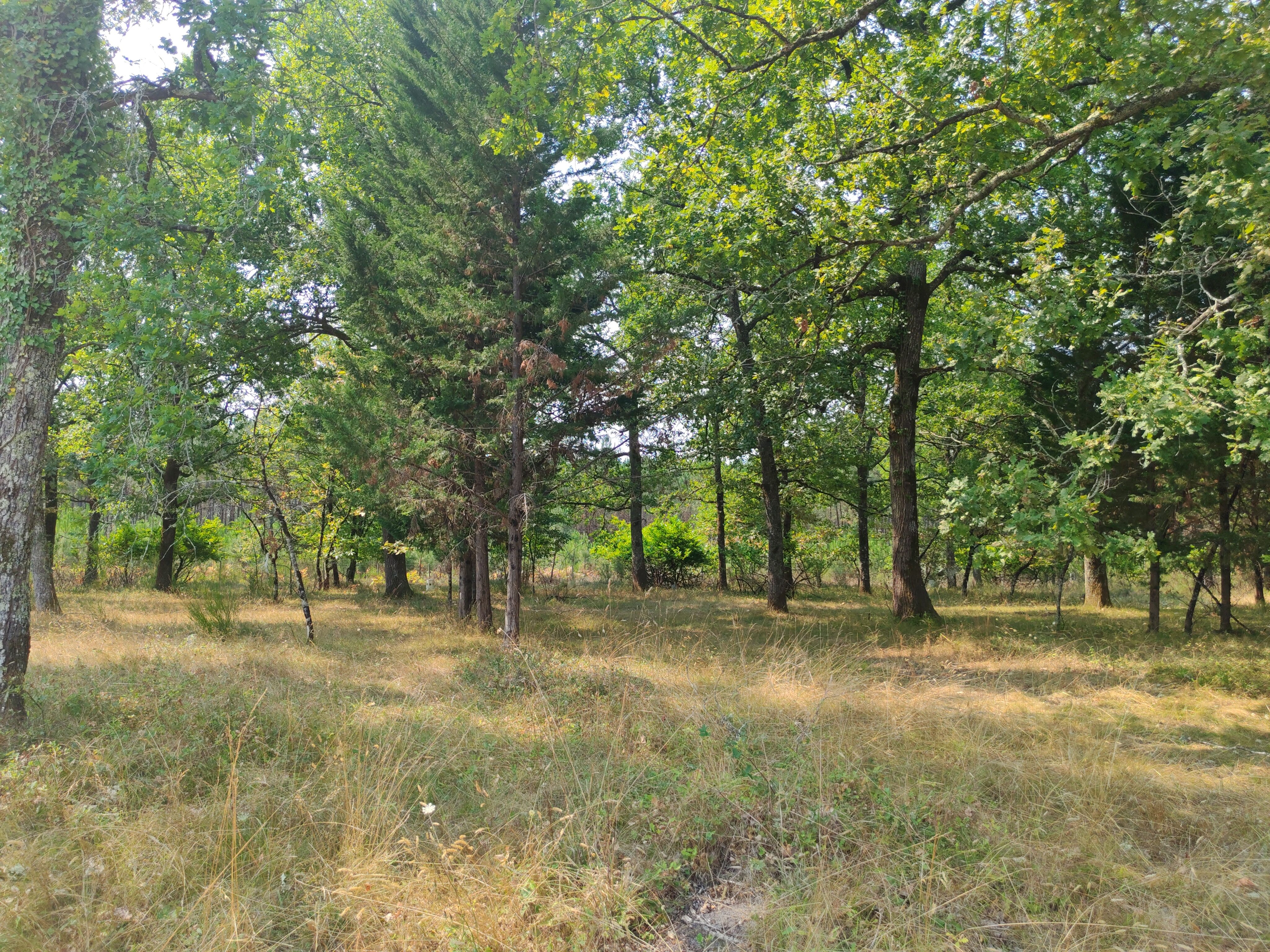 Property view 5