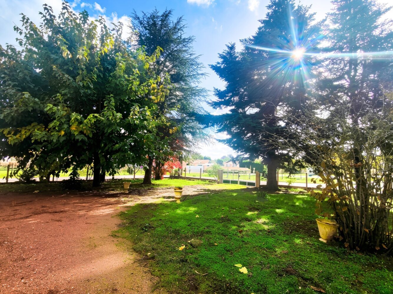 Property view 5